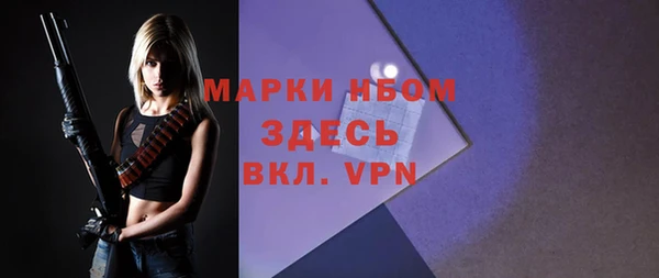 соль ск Алексин
